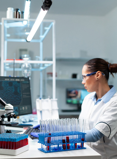 Brain Biomag - Neuroscience Research